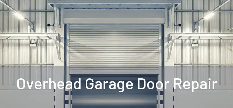 Overhead Garage Door Repair